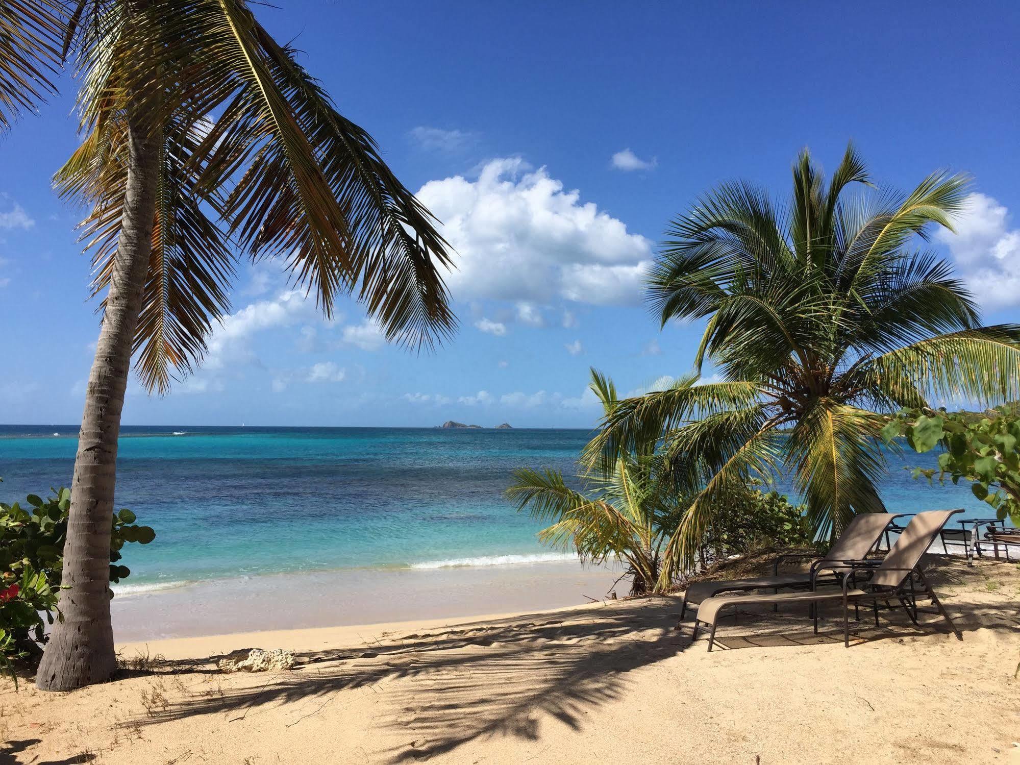 Mango Bay Resort Spanish Town Exteriör bild