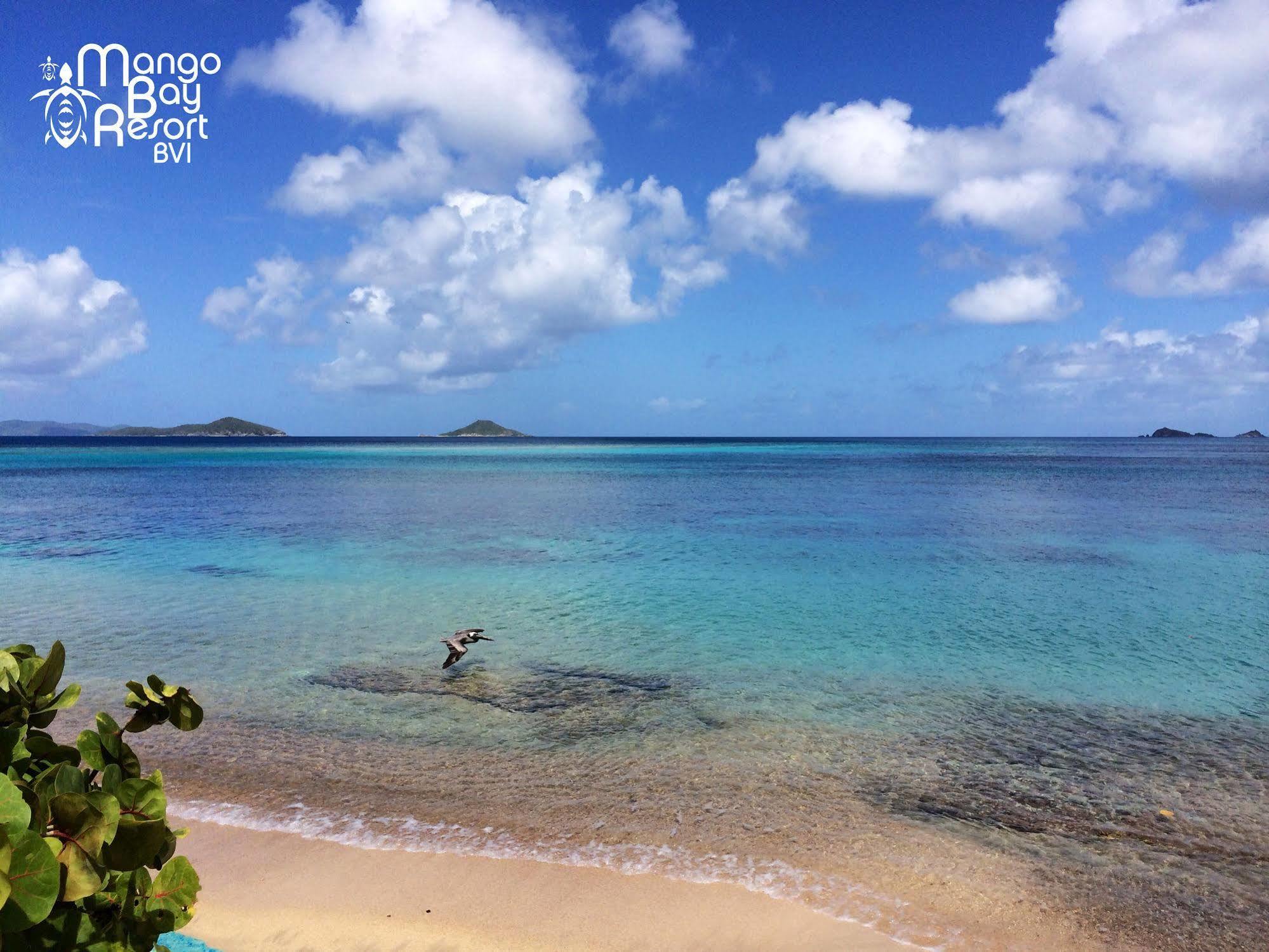Mango Bay Resort Spanish Town Exteriör bild